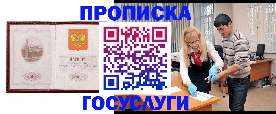 прописка 2025 в Коле